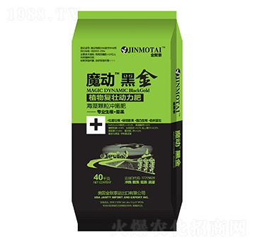 ħ��(d��ng)�ڽ�-��֮�{(l��n)