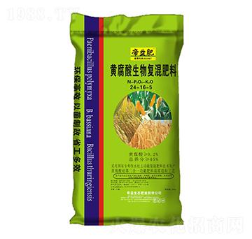 �S��������ͻ����24-16-5-�����