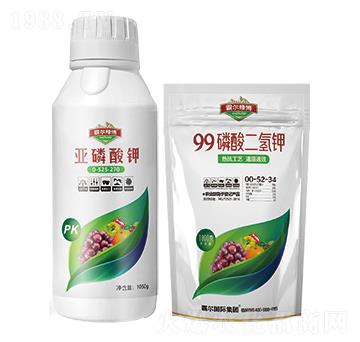 �������+99�������