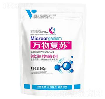 500g΢�������-�f(w��n)���(f��)�K-��������