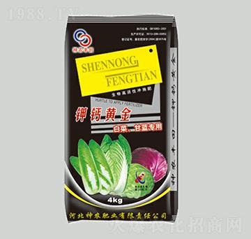 �ײ˸��{������}�S��-