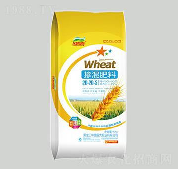 �������������20-2