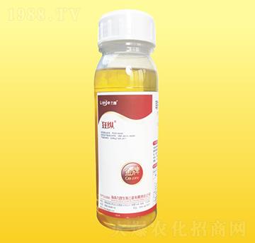 ���ƿ�v���x��-��������