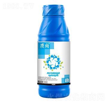 50%��र��Ҹ�����500g��-�|(zh��)��-ӯ�x
