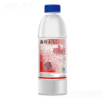 5%���S��������-ӯ�x�o��-ӯ�x