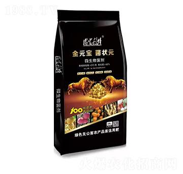 ΢�������-��Ԫ������Ԫ-���m����