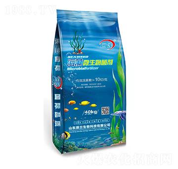 ����΢�������-����-���m����