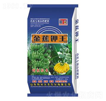 �����-̫�S�r(n��ng)��