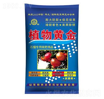 ֲ���S��ʯ����΢��-̫�S�r(n��ng)��