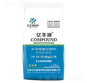 ˮ���ԏͺϷ���19-1