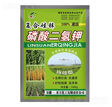 ��(f��)�Ϲ��\��������-���S