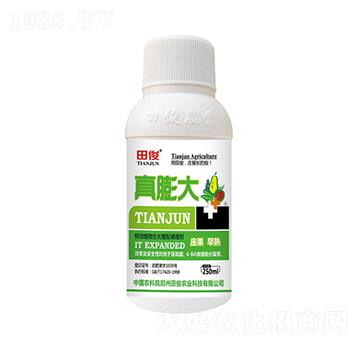 ֲ�����L�����{�턩-�����-�￡�ʘI(y��)