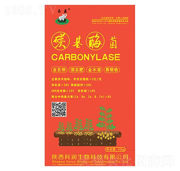 ̼��ù��-�Ɲ�(r��n)����