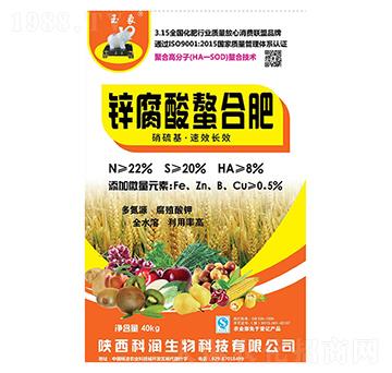 �\�������Ϸ�-�Ɲ�����