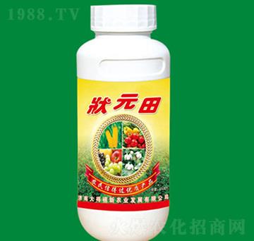 �V�V���~���-��Ԫ��-