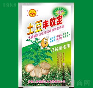 �����S�Ռ�-�����