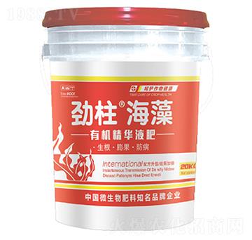 �ЙC(j��)���AҺ��-����������-형r(sh��)�