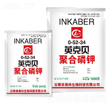 �ۺ����0-52-34-Ӣ��ؐ-�W������