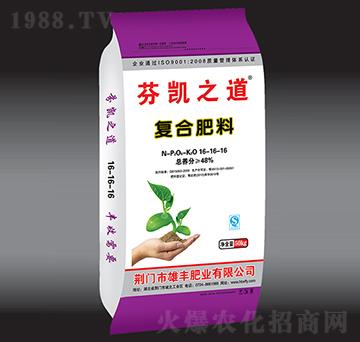 ��(f��)�Ϸ���16-16-16-�҄P֮��-���S�ʘI(y��)