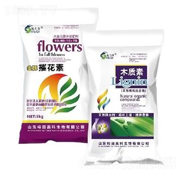 �ݻ���+ľ�|(zh��)��-ԣ��߿�