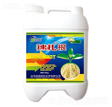 ������-ԣ��߿�