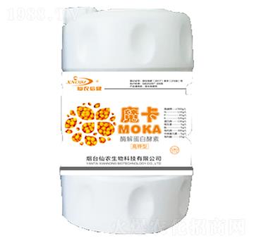 ø�⵰�׽���-ħ��-���r(n��ng)����