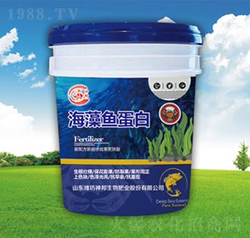 �����~���כ_ʩ��-�������