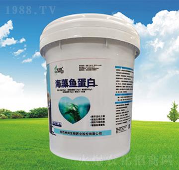 �����~����Ͱ��-�������