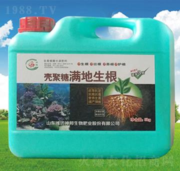 �����ǝM(m��n)������-�������