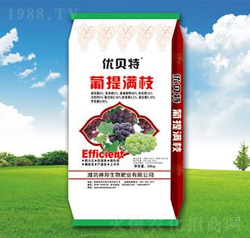 ����M֦�_ʩ��-�������