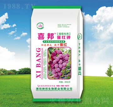 �߼t⛛_ʩ��-�������