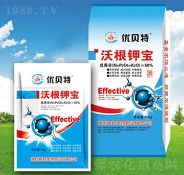 �ָ�⛌�-�������