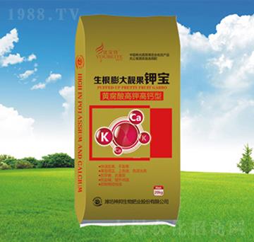 ��������n��⛌�-�������