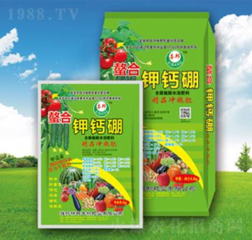 ������}��-�������