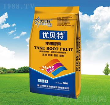 �������-�������