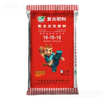 �������Է���16-16