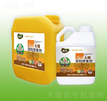 �����F(tu��n)���ޏ�(f��)��-����-�f(w��n)���_(d��)