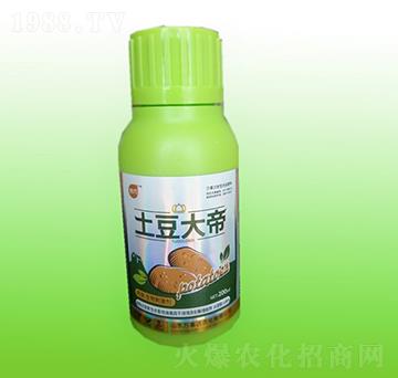 土豆大帝-悅巧-萬事達