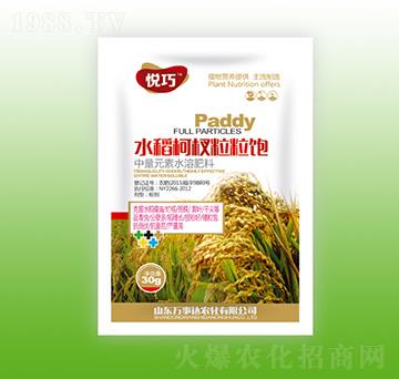 水稻柯杈粒粒飽-悅巧-萬事達