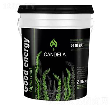 ���ך������ϑB(t��i)ֲ�ﵰ�נI�B(y��ng)��-�����_(d��)-�f���_(d��)