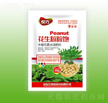 ���������-����-�f���_(d��)