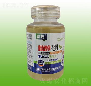 �Ǵ���-����-�f���_(d��)