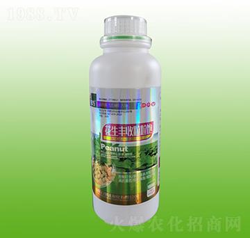 �����S�������-����-�f���_