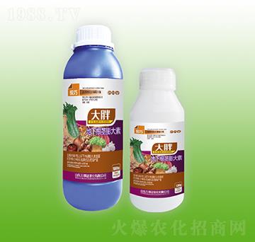 ���ֵ��¸��o�����-����-�f(w��n)���_(d��)