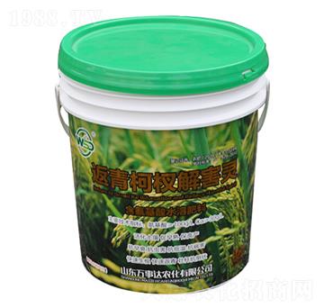 �����辽⺦�`-����-�f���_(d��)