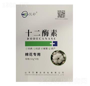 ʮ��ø�أ��޻����ã�-����-�f(w��n)���_(d��)