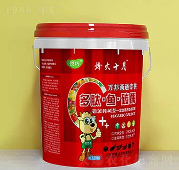 �����~(y��)̼ø-����-�f(w��n)���_(d��)