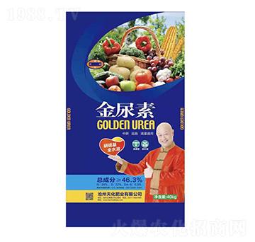 �����������-�컯�ʘI(y��)