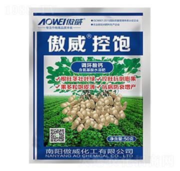 �������-����