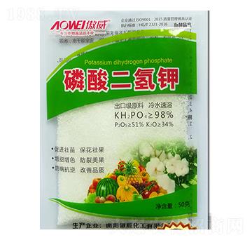 �߼�����������-����